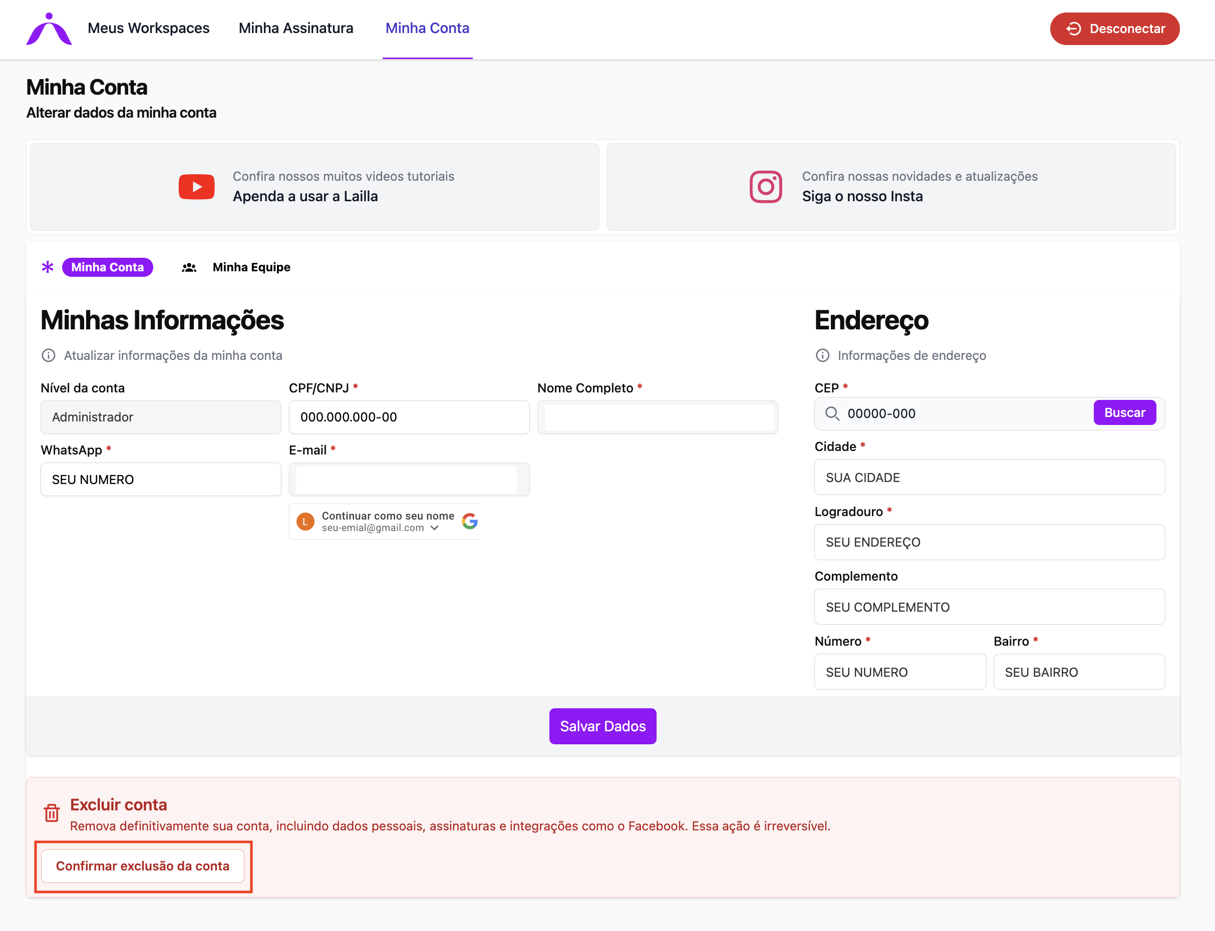 Etapa 2 — Tela Minhas Informações com dados da conta