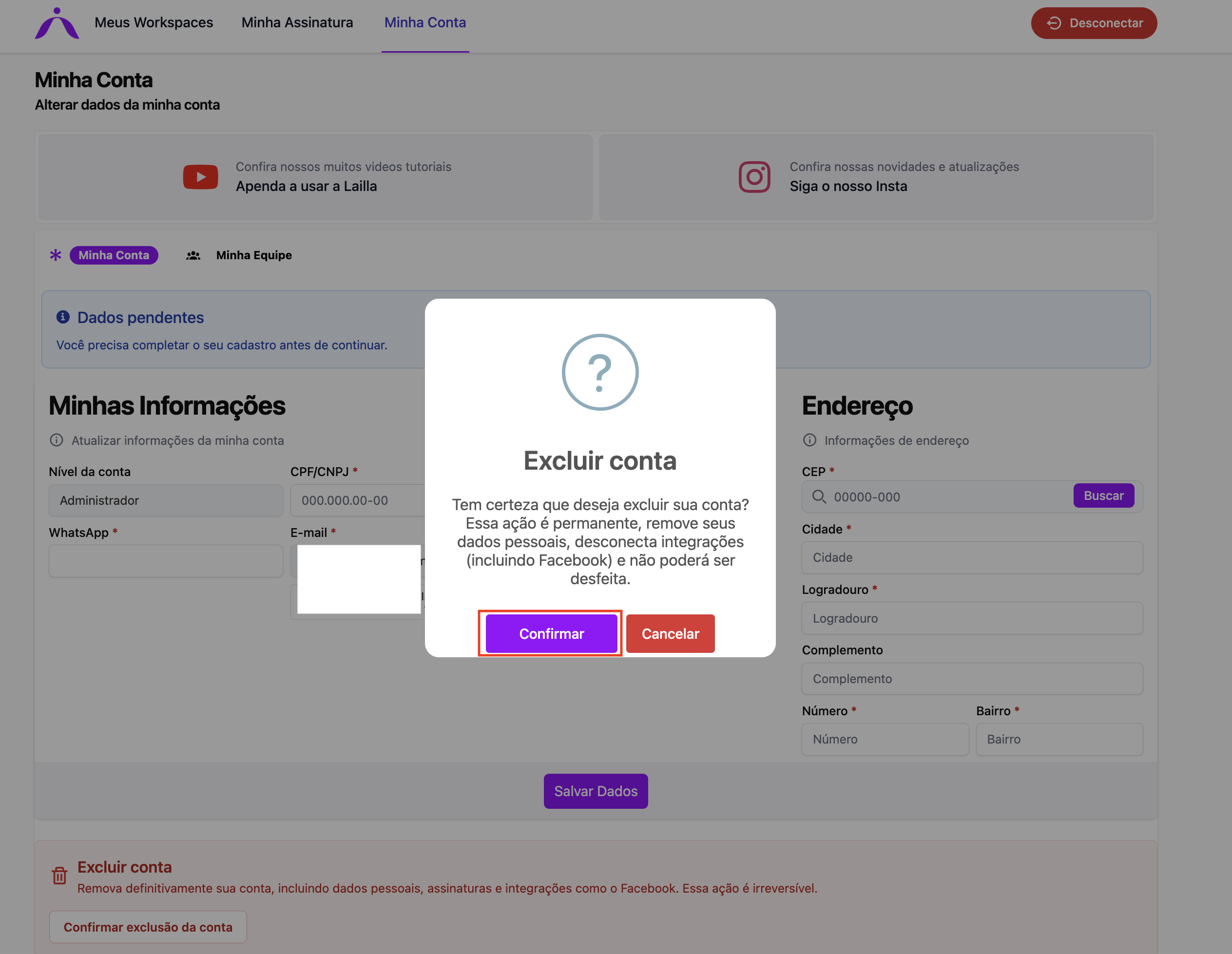 Etapa 3 — Seção Excluir conta com aviso visível